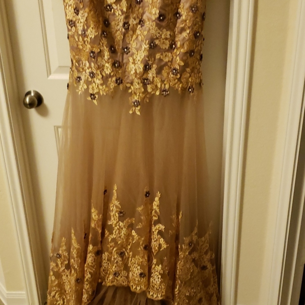 Gown - Picture 2 of 6